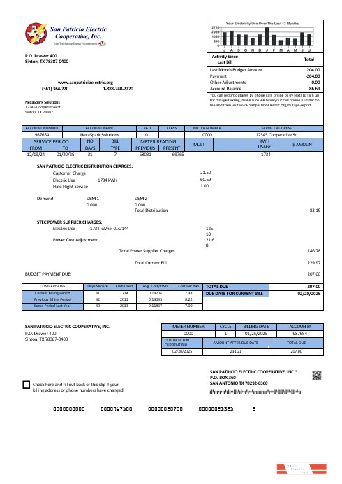USA Texas San Patricio Electric Corporative business utility bill template in Word and PDF  formats PSD template